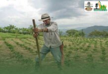 Gobernación de Arauca avanza en estrategia integral para fortalecer el sector agropecuario.