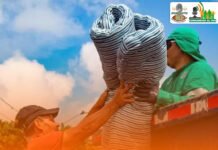 Jornada especial de recolección de inservibles se llevará a cabo hoy viernes 13 de febrero, con el objetivo de contribuir a un municipio más limpio, organizado y protegido contra enfermedades transmitidas por vectores