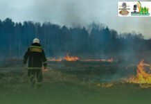 Arauquita en alerta por temporada seca: Bomberos Voluntarios lanzan recomendaciones urgentes para prevenir incendios forestales.