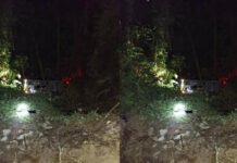 Microbús al parecer de la empresa Libertadores, se precipitó al vacío la madrugada de este lunes 02 de marzo, en la trocha de la soberanía,