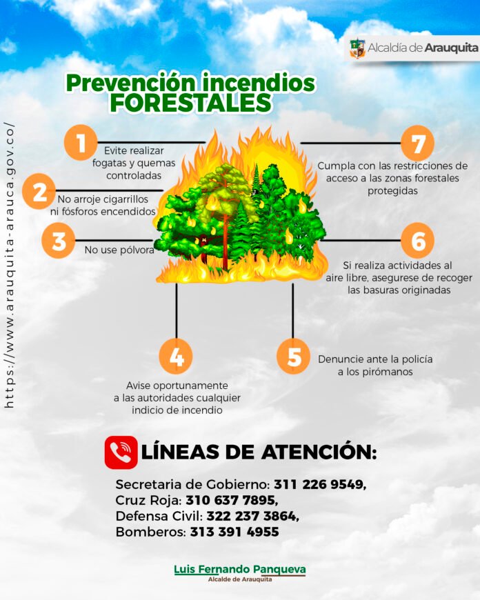 Incendios Forest.jpg